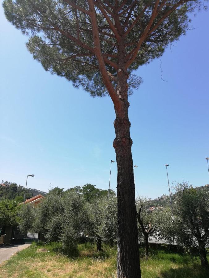 Ca Du Angiulin Hotel Casarza Ligure Kültér fotó